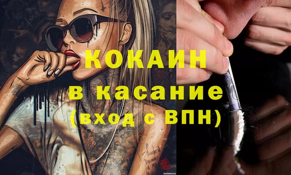 гидра Липки