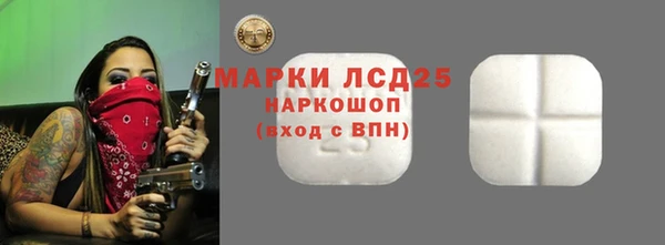 гидра Липки