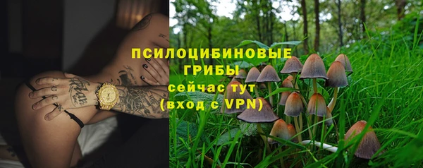 apvp Ладушкин
