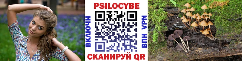 omg сайт  Медногорск  Псилоцибиновые грибы MAGIC MUSHROOMS 