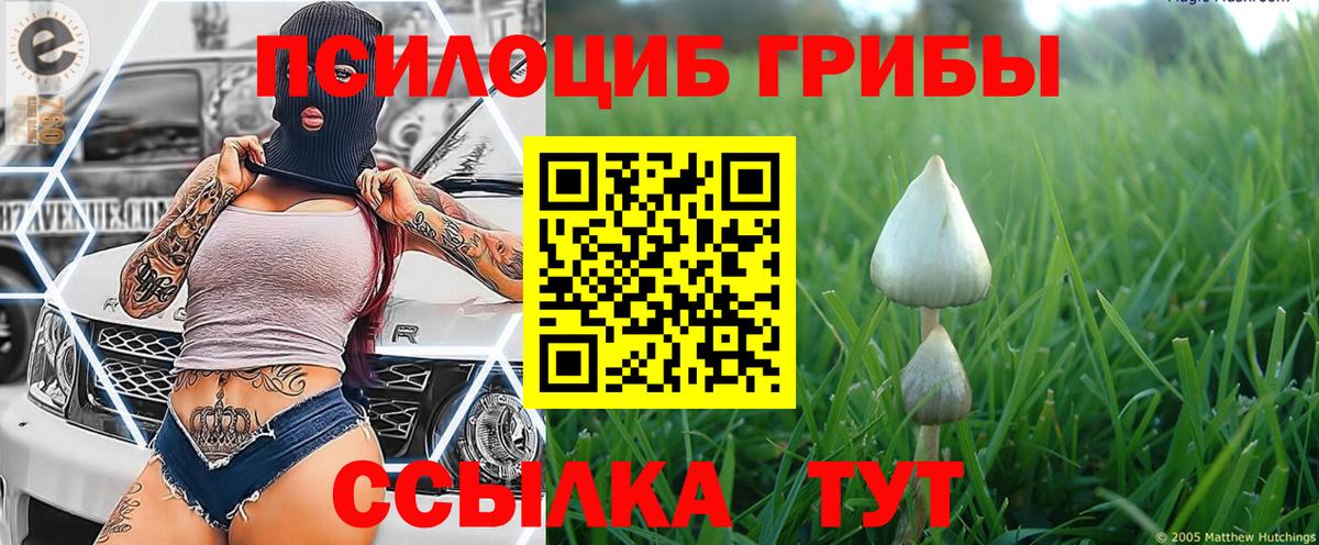 Галлюциногенные грибы GOLDEN TEACHER Медногорск