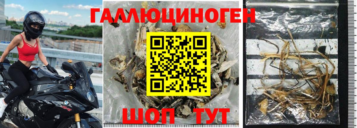 Галлюциногенные грибы Cubensis Медногорск