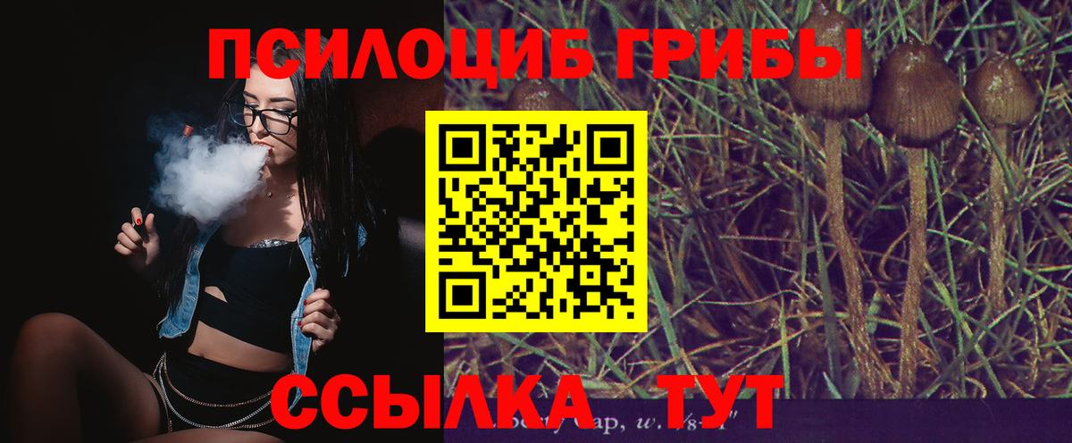 Медногорск  Псилоцибиновые грибы GOLDEN TEACHER  Вход с VPN 